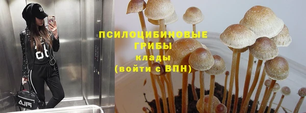 синтетический гашиш Алексеевка