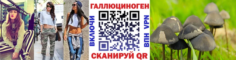 Галлюциногенные грибы Psilocybine cubensis  Звенигово 
